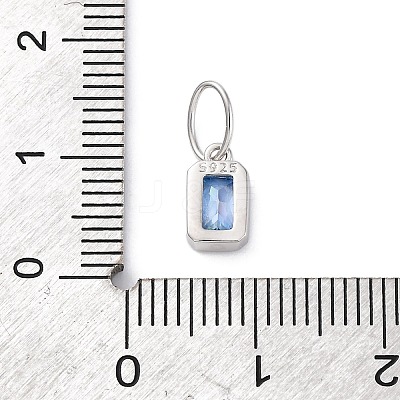 925 Sterling Silver Cubic Zirconia Charms STER-NH0014-01P-09-1