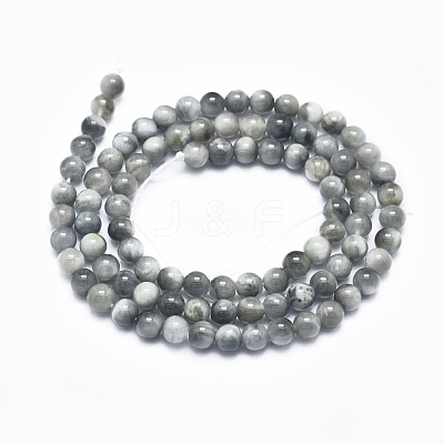 Natura Hawk's Eye Beads Strands G-D0001-22C-10mm-1