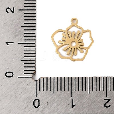 304 Stainless Steel Pendants STAS-S139-06G-12-1