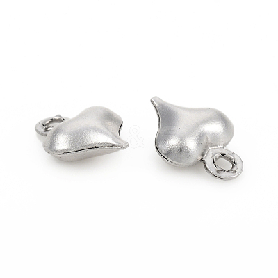 Non-Tarnish 304 Stainless Steel Charms STAS-I149-05C-P-1