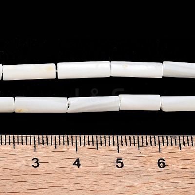 Freshwater Shell Beads Strands BSHE-L037-13-1
