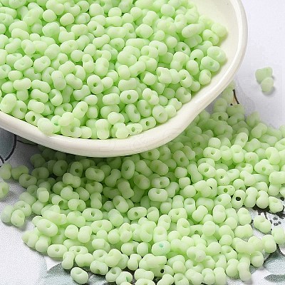 Glass Frosted Seed Beads SEED-K009-05B-06-1