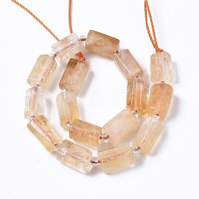 Natural Citrine Beads Strands G-S345-8x11-013-1