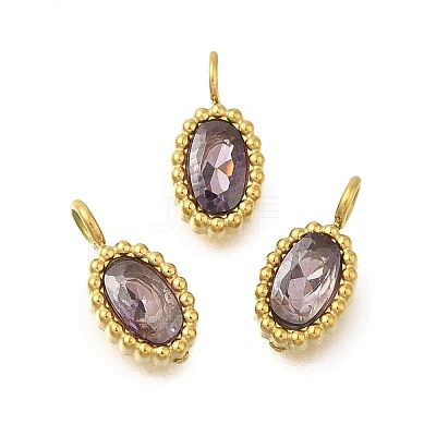 304 Stainless Steel Micro Pave Cubic Zirconia Charms STAS-U027-02G-06-1