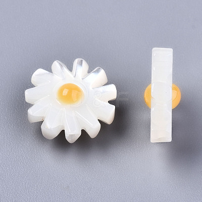 Natural White Shell Mother of Pearl Shell Beads SHEL-S266-13B-1