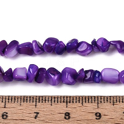 Natural Freshwater Shell Beads Strands SHEL-N037-04H-1
