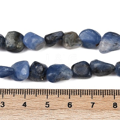 Natural Kyanite Beads Strands G-Q060-E17-1