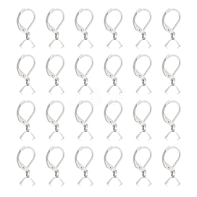50Pcs 304 Stainless Steel Leverback Earring Findings STAS-UN0041-89-1