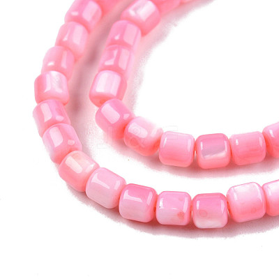 Natural Freshwater Shell Beads Strands SHEL-N003-33-A09-1
