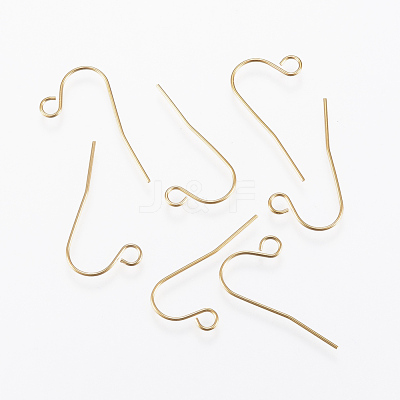 Ion Plating(IP) 304 Stainless Steel Earring Hooks STAS-G170-12G-1