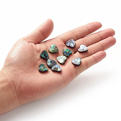 Abalone Shell/Paua Shell Beads SHEL-T005-01-1