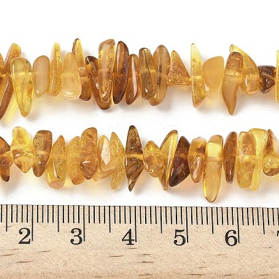 Natural Amber Beads Strands G-L095-D01-07-1