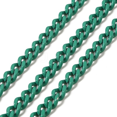 Spray Painted 304 Stainless Steel Curb Chains STAS-B067-05B-10-1