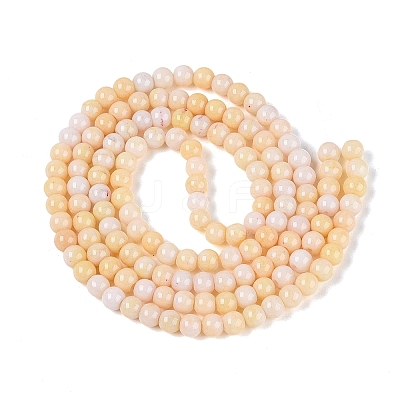 Ombre Effect Opaque Crackle Glass Beads Strands GLAA-Q106-01A-A16-1
