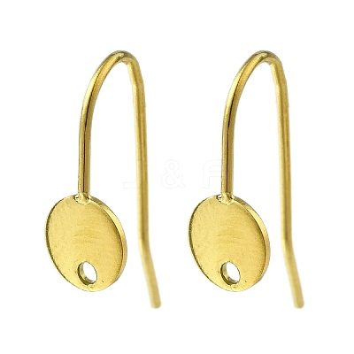 304 Stainless Steel Earring Hooks LS-STAS-B087-09A-G-1
