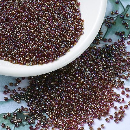MIYUKI Round Rocailles Beads X-SEED-G007-RR2461-1