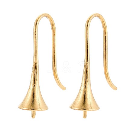 Ion Plating(IP) 304 Stainless Steel Earring Hooks X-STAS-N108-30G-1