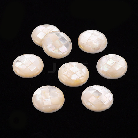 Natural White Shell Cabochons SSHEL-T014-34-1