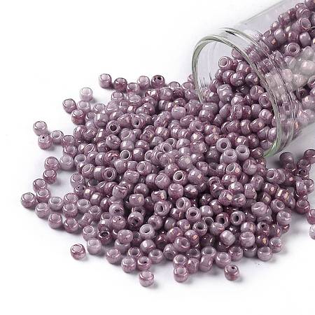 TOHO Round Seed Beads SEED-JPTR08-1202-1