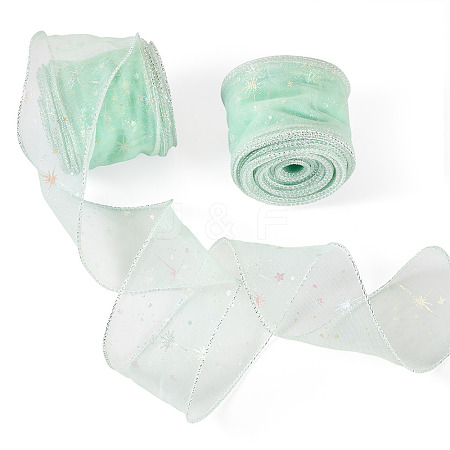 Polyester Deco Mesh Ribbons OCOR-TAC0024-004G-1