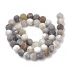 Natural Bamboo Leaf Agate Beads Strands X-G-T106-026-3