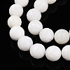 Natural White Shell Beads Strands G-T141-21-4