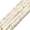 Natural Freshwater Shell Beads Strands BSHE-E026-15A-01-2