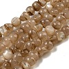 Natural White Shell Dyed Beads Strands BSHE-Z005-03A-1