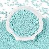 Baking Paint Glass Seed Beads SEED-T006-03G-1