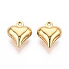 304 Stainless Steel Charms STAS-N118-12G-1