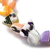 Natural Trochid Shell/Trochus Shell Beads Strands SHEL-B003-02L-3
