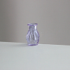 Transparent Miniature Glass Vase Bottles BOTT-PW0006-03I-1