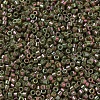 MIYUKI Delica Beads X-SEED-J020-DB0133-3
