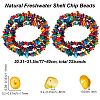2 Strands Natural Freshwater Shell Dyed Beads Strands G-BBC0001-43A-2