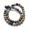 Natural Ocean Agate/Ocean Jasper Beads Strands G-G716-03-8mm-2