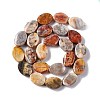 Natural Crazy Lace Agate Beads Strands G-M208-14-3