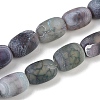 Natural Weathered Agate Beads Strands G-NH0047-B03-02-2