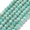 Natural Amazonite Beads Strands LS-G-J400-E11-04-1