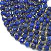 Dyed Natural Lapis Lazuli Beads Strands G-K389-E63-01-3