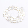 Natural White Shell Mother of Pearl Shell Beads X-SSHEL-L017-006-3