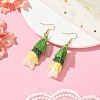 Colorful Tassel Pendants Dangle Earrings for Women EJEW-JE06107-2