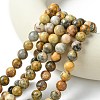 Natural Crazy Lace Agate Round Bead Strands G-M272-03-10mm-2
