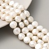Natural Cultured Freshwater Pearl Beads Strands PEAR-A006-09I-2
