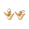 304 Stainless Steel Charms STAS-G364-09G-1