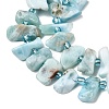 Natural Larimar Beads Strands G-L649-A08-01-4