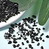 Natural Obsidian Chip Beads G-L453-08-4