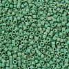 MIYUKI Delica Beads Small SEED-X0054-DBS0877-3