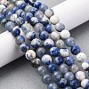 Natural Sodalite Beads Strand GSR6mmC013-5