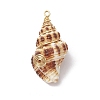 6Pcs 6 Styles Natural Mixed Shell Pendants PALLOY-JF03316-4