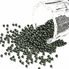 11/0 FGB Grade A Baking Paint Glass Seed Beads X-SEED-N001-A-1040-1